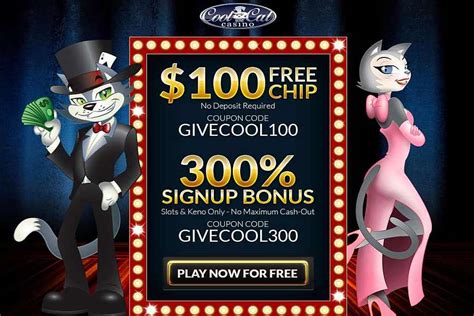 cool cat casino sign up.